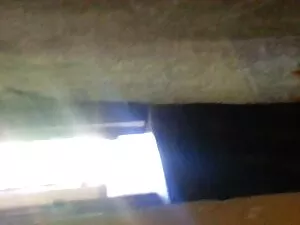 سینه کلان, سگ کوس وک ...