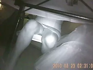 جوجه سکسی از شیکاگو  ...